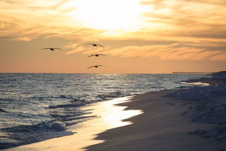 navarre beach floride - les 20 plus belles plages d'Amérique du Nord