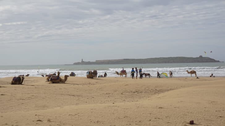 Un détour par la plage à Essaouira