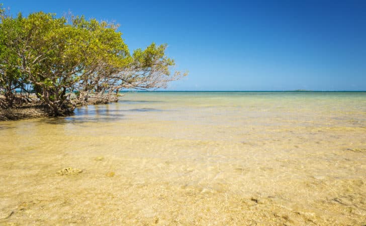 Îlot Canard à Nouméa