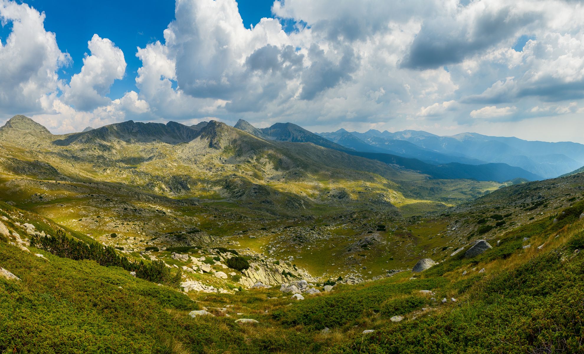 Parc national de Pirin en Bulgarie.