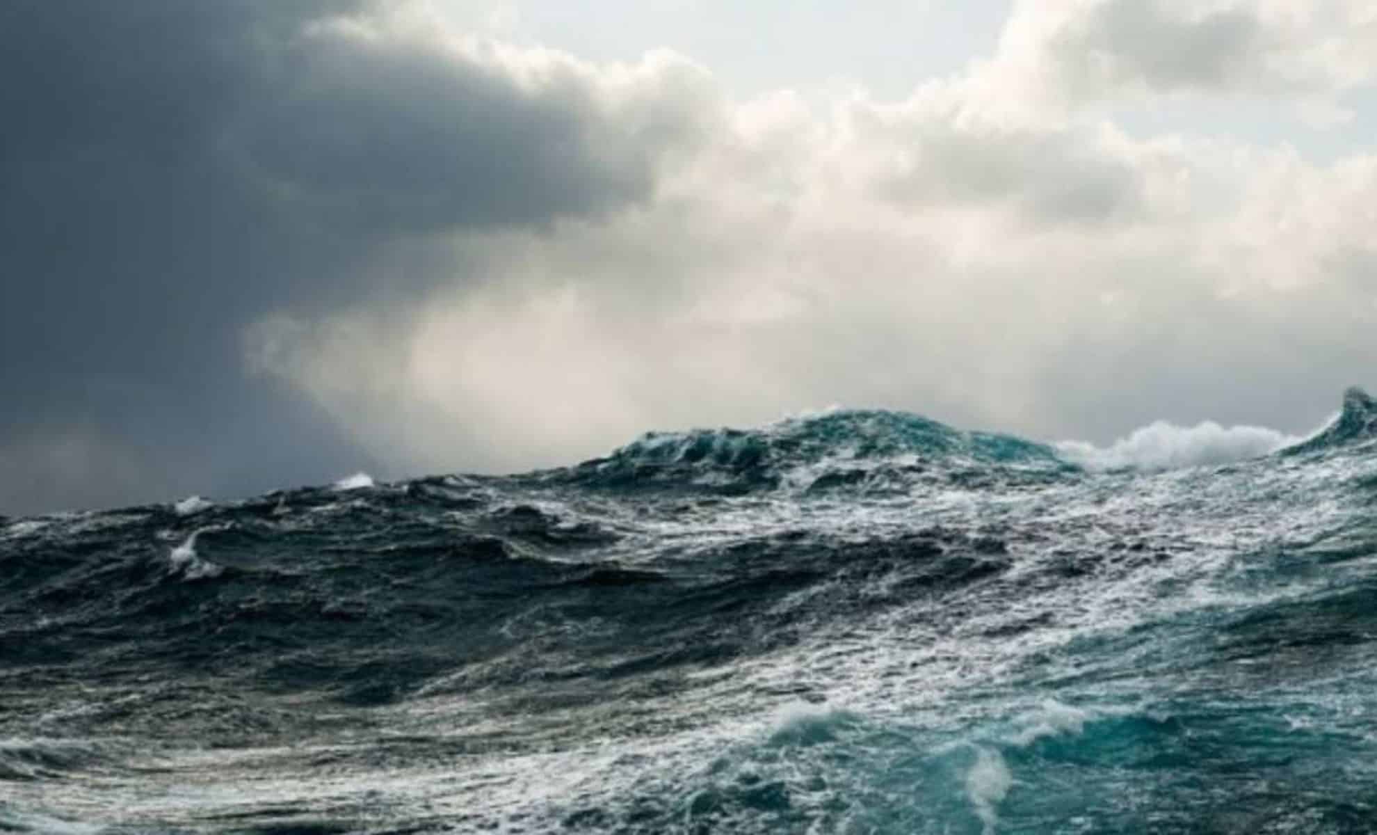 Les 50e hurlants 