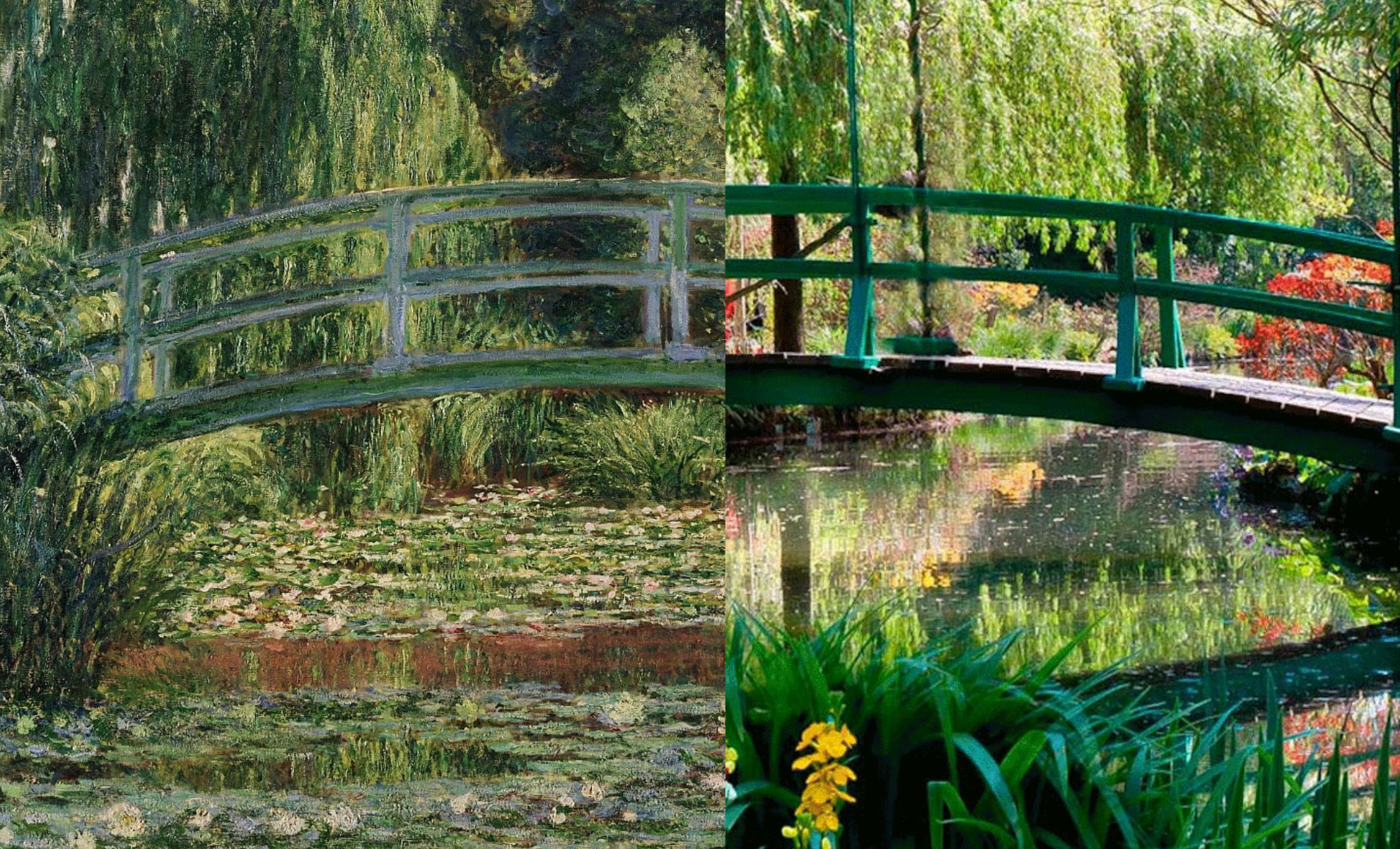 Les Nymphéas de Giverny, Monet 