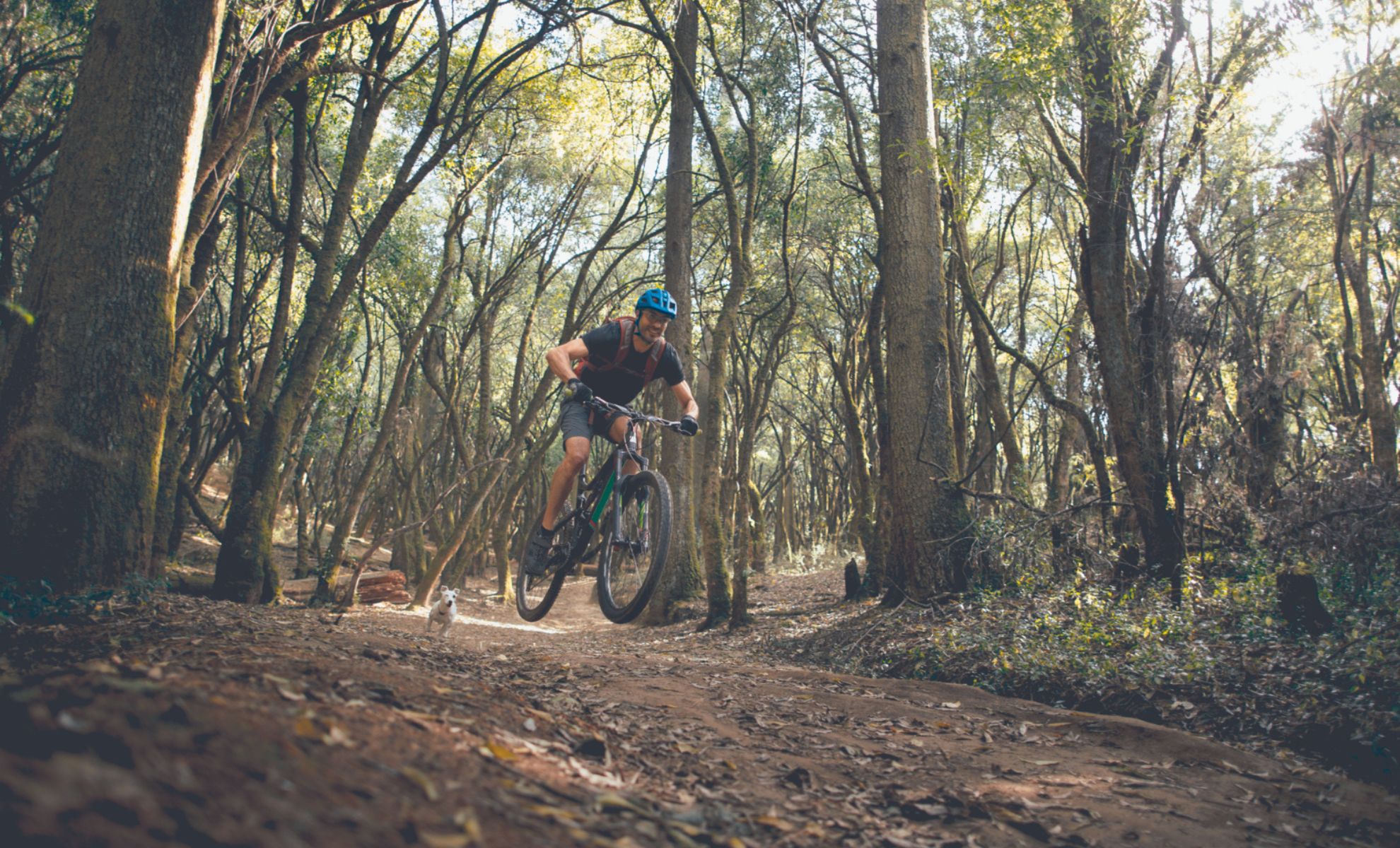 Aventure en VTT dans la jungle luxuriante mexicaine