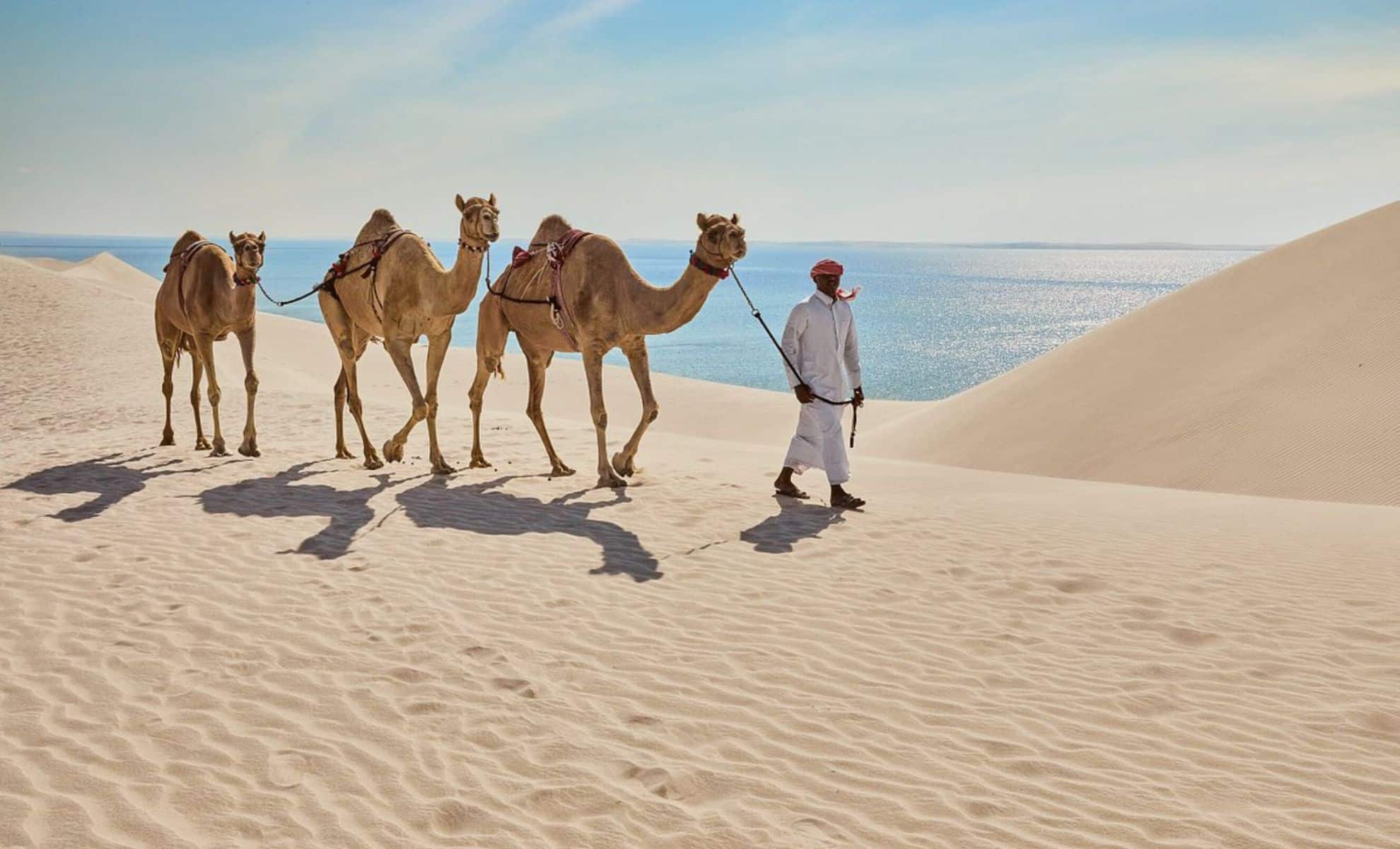 La mer intérieure de Khor al Adaid, Qatar