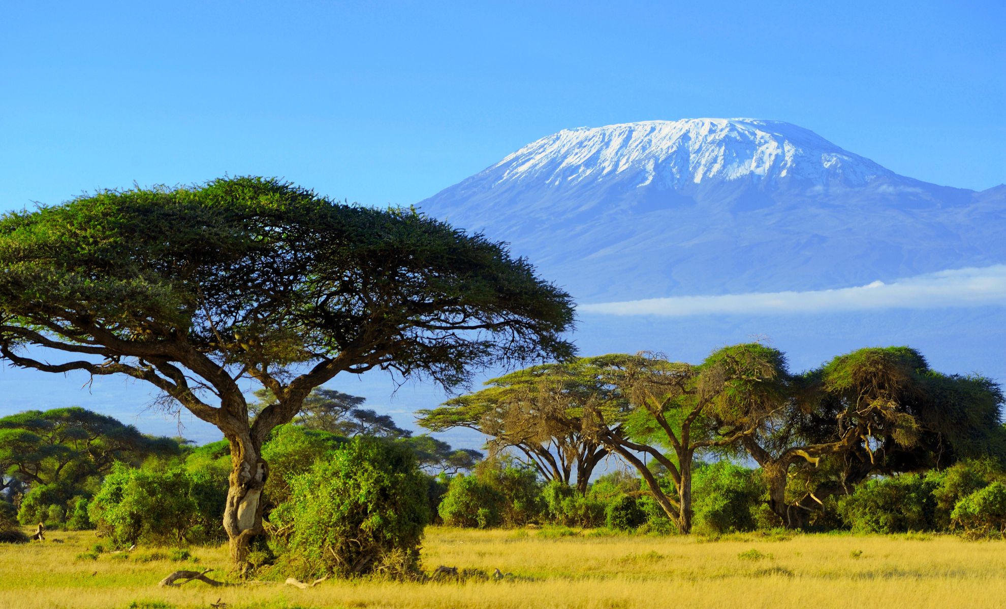 Kilimandjaro , Tanzanie