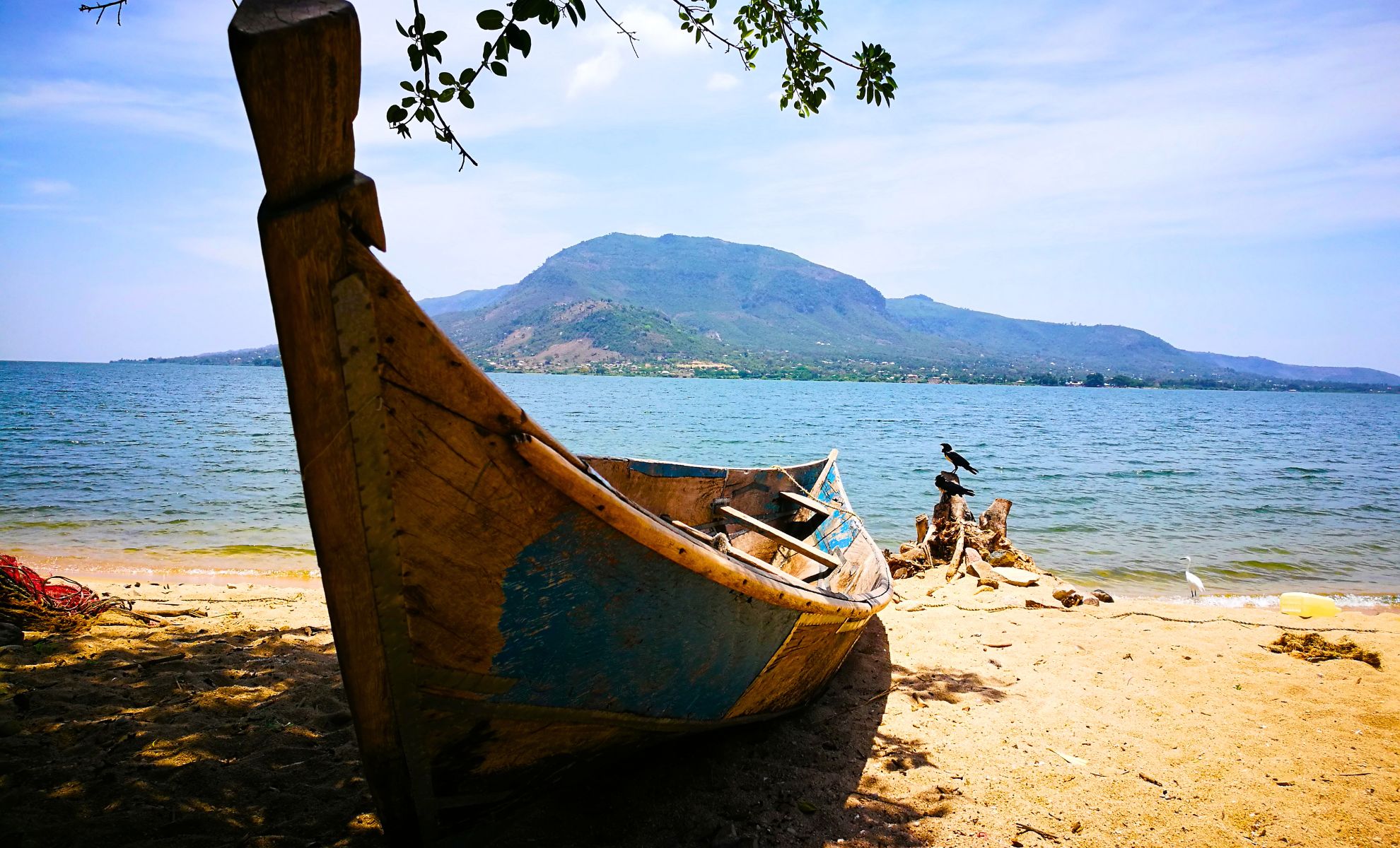 Lac Victoria, Tanzanie