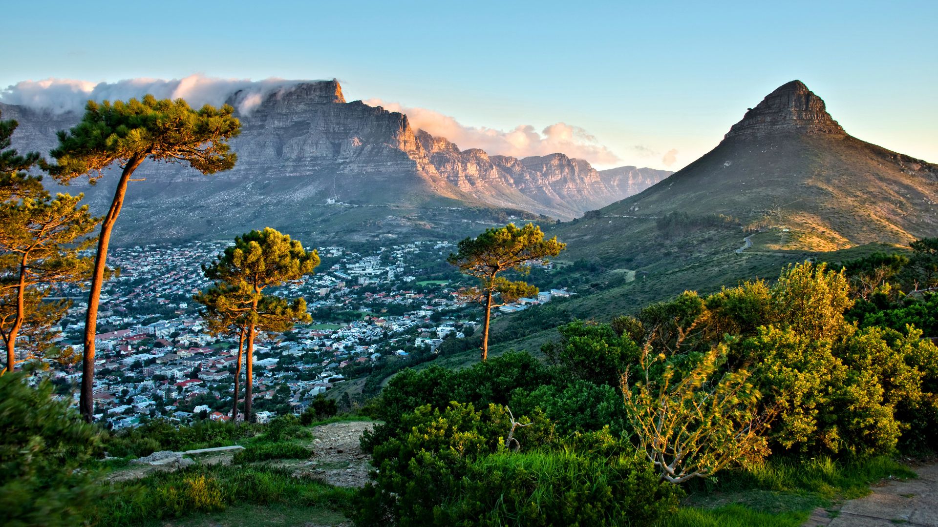 Le Cap-Oriental, Afrique du Sud