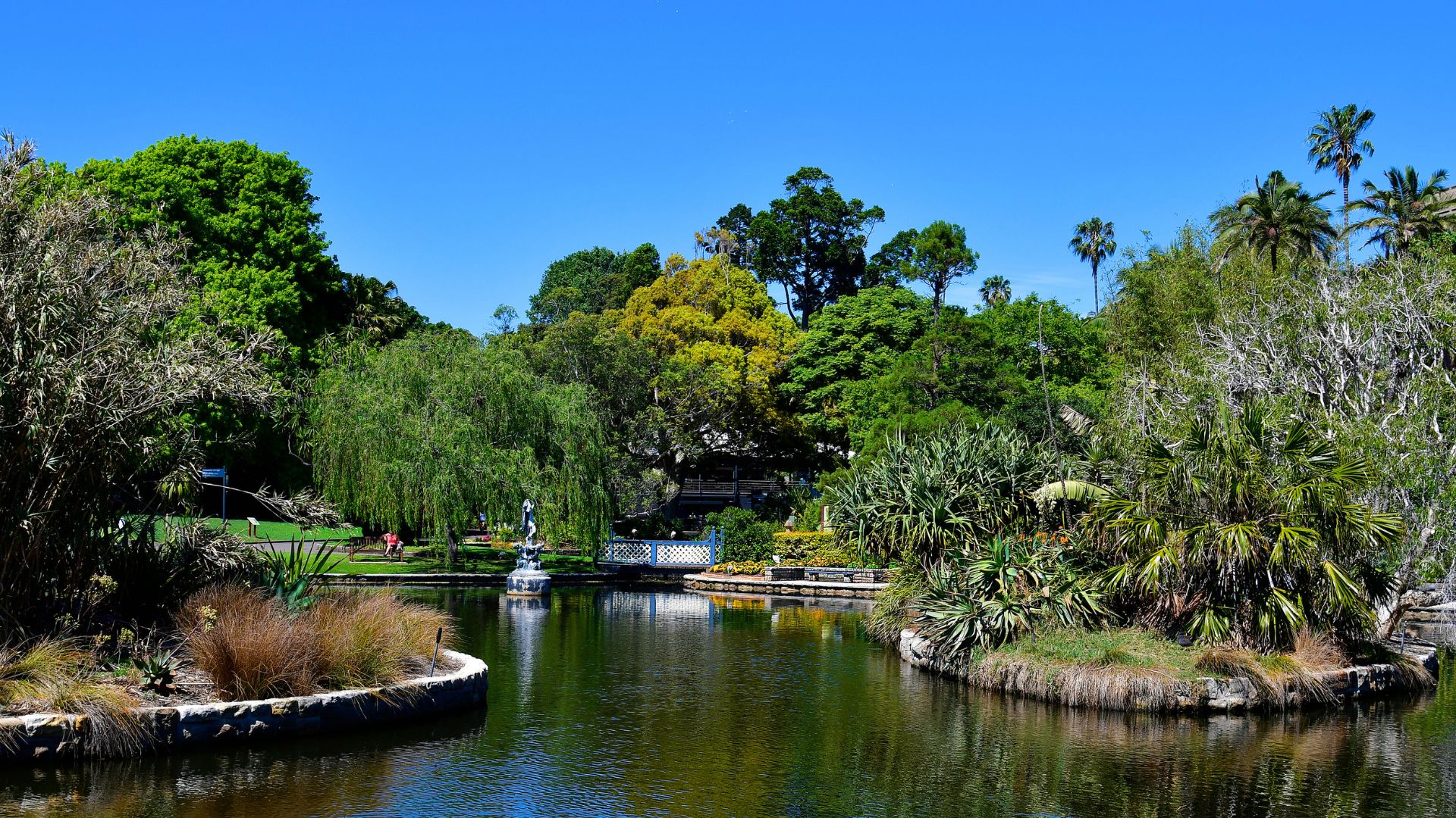 Le jardin botanique national d'Australie