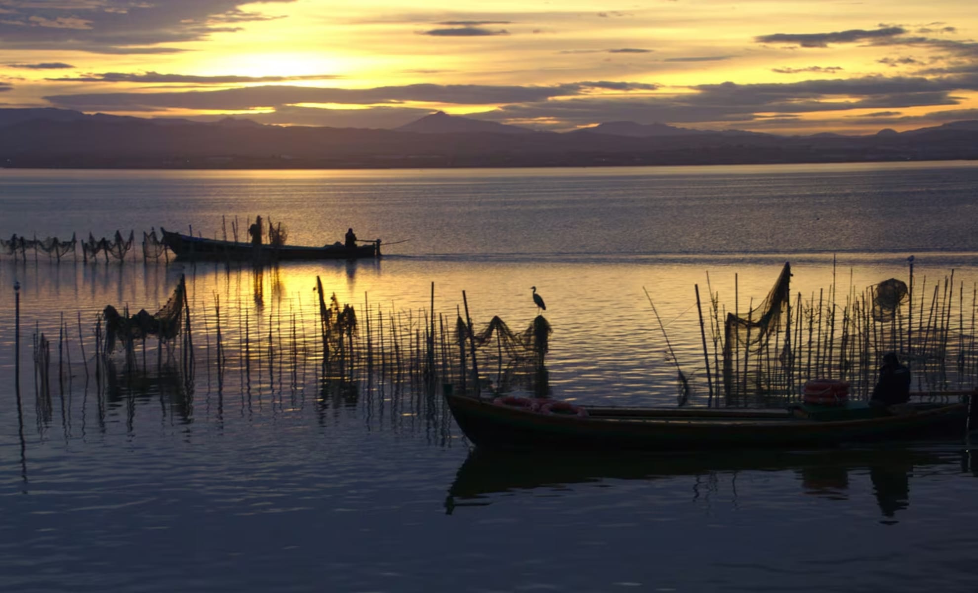 Le parc naturel de l'Albufera , Valence, Espagne
