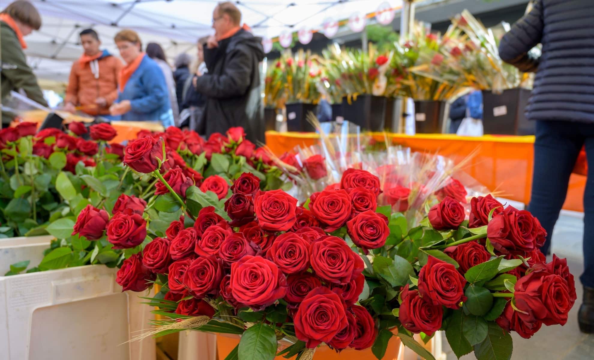La Fête de Sant Jordi à Barcelone